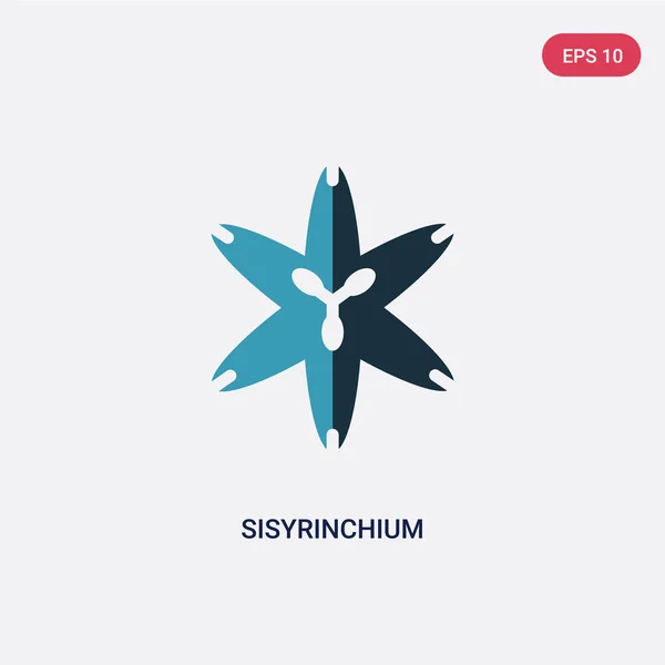 Dos color sisyrinchium vector icono de concepto de la naturaleza. aislado — Vector de stock