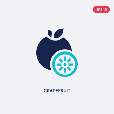 meyve ve sebze conc iki renkli greyfurt vektör simgesi