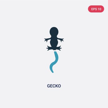 hayvanlar kavramından iki renk gecko vektör simgesi. izole mavi 