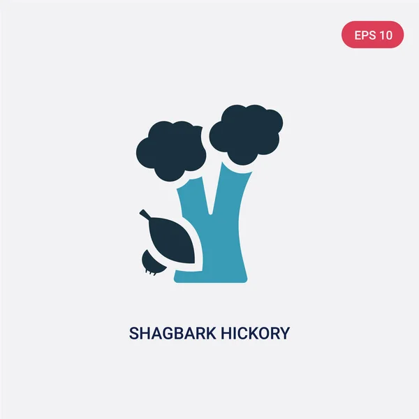 Dos colores shagbark árbol de nogal vector icono de concepto de la naturaleza . — Vector de stock