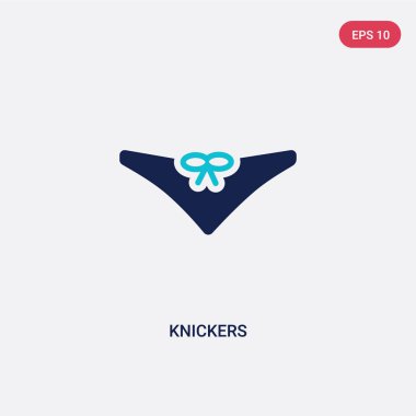 giysi kavramından iki renkli külot vektör simgesi. izole bl