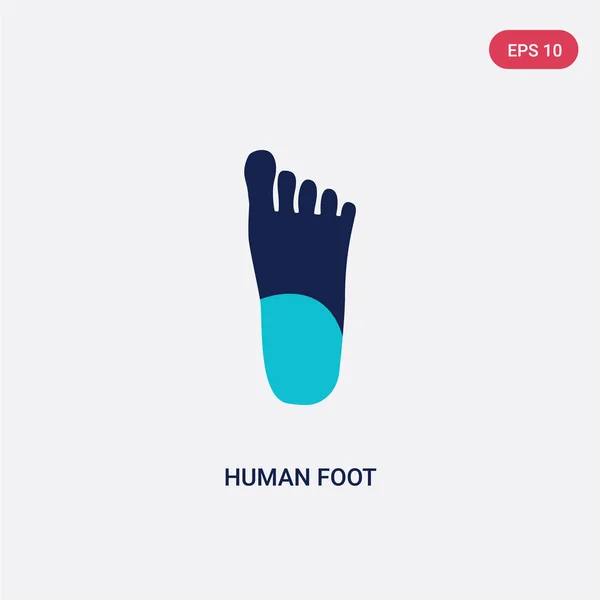 Two color human foot vector icon from human body parts concept. — Stock Vector