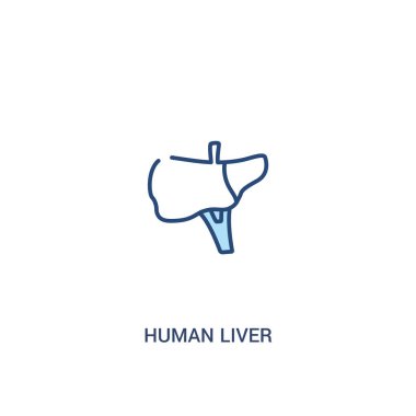 insan karaciğer kavramı 2 renkli simgesi. basit çizgi elemanı illustra