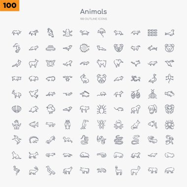 Anteater, alpaka, antilop, porsuk, boğa, çita, karga, geyik gibi 100 hayvan anahat simgeleri