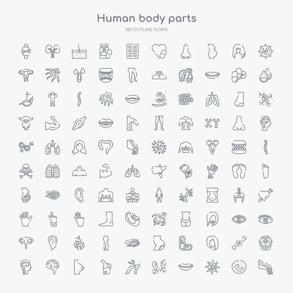 100 Human Body Parts Outline Icons Set Ball Knee Big Stock Illustration