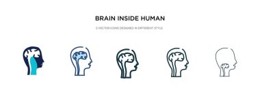 İnsan kafası içindeki beyin farklı bir biçim vektör illüstratında