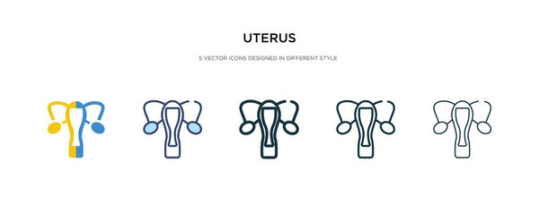 uterus icon in different style vector illustration. two colored 