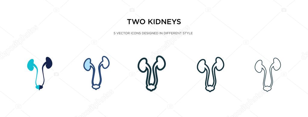 two kidneys icon in different style vector illustration. two col