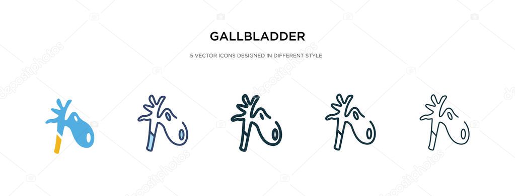 gallbladder icon in different style vector illustration. two col