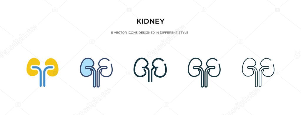 kidney icon in different style vector illustration. two colored 