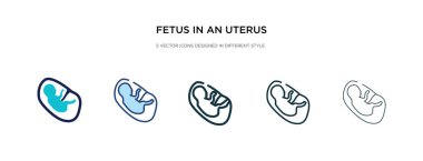 Bir uterus simgesindeki fetüs farklı bir biçim vektör illüstrasyonunda. 