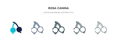 Farklı stil vektör illüstrasyonunda Rosa Canina ikonu. iki kol