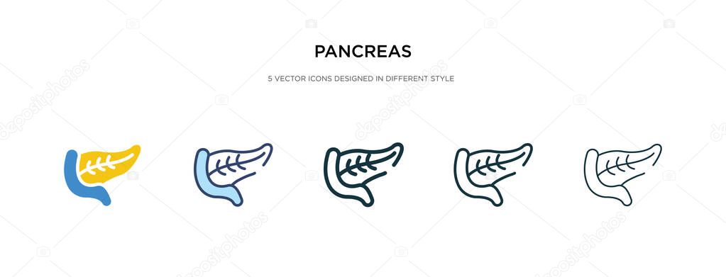 pancreas icon in different style vector illustration. two colore