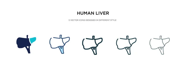 Ícone de fígado humano em ilustração vetorial de estilo diferente. dois cols —  Vetores de Stock