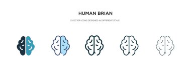 human brian icon in different style vector illustration. two col clipart