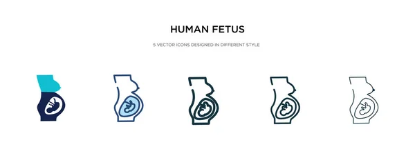 Ícone do feto humano em ilustração vetorial de estilo diferente. dois cols —  Vetores de Stock