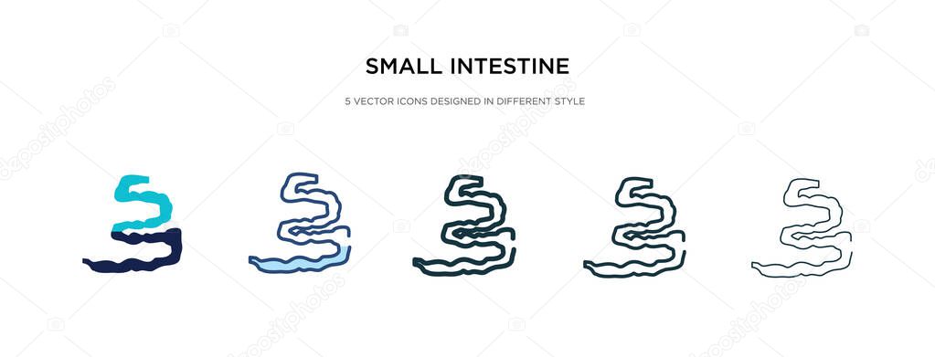 Small intestine icon in different style vector illustration. two colored and black small intestine vector icons designed in filled, outline, line and stroke style can be used for web, mobile, ui