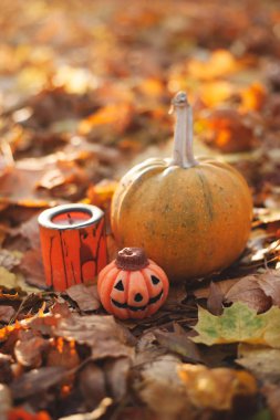 balkabağı, mumlar, hayalet ve diğer dekor öğeleri açık havada üzerinde sonbahar yaprakları Cadılar Bayramı kavramı