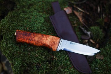 Kyiv, Ukrayna, 25.02.2025, yosunların üzerinde duran taktik bıçağı. Açık hava ve hayatta kalma kavramı