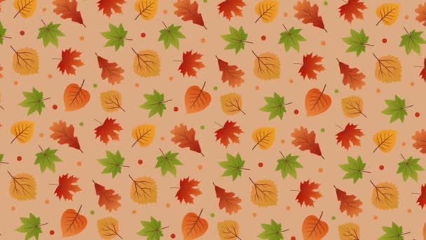 Rotating background with colorful leaves — Stock Video