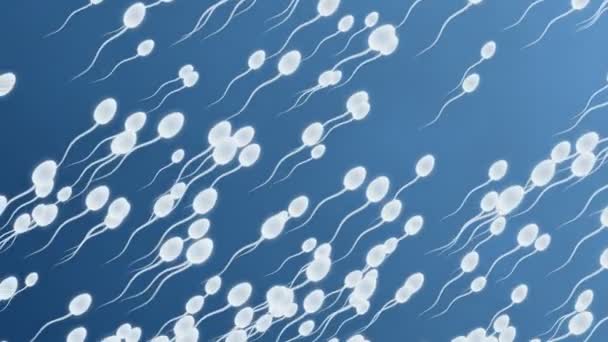 Las células espermáticas se mueven sobre un fondo azul — Vídeo de stock