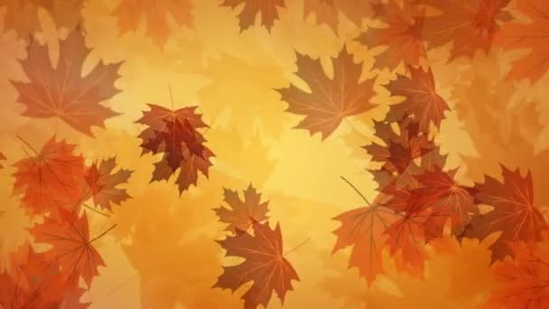 Herfst achtergrond met gele bladeren — Stockvideo