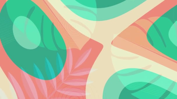 Літній барвистий фон 4K, плоска анімація з тропічним листям, петлевий рух графіки — стокове відео