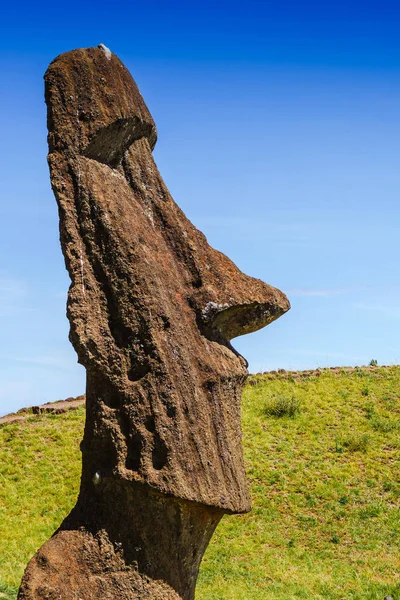 Moai Statues Rano Raraku Volcano Easter Island Rapa Nui National — Stock Photo, Image