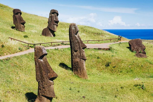 Moai Posągi Wulkanie Rano Raraku Wyspie Wielkanocnej Park Narodowy Rapa — Zdjęcie stockowe
