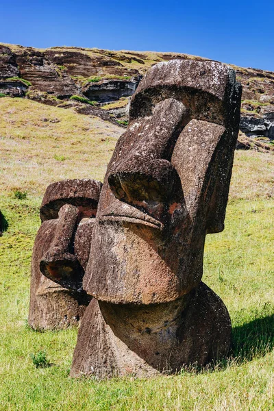 Moai Sochy Sopce Rano Raraku Velikonočním Ostrově Národní Park Rapa — Stock fotografie