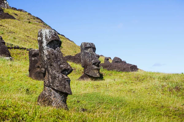Moai Statuen Rano Raraku Vulkan Auf Der Osterinsel Rapa Nui — Stockfoto