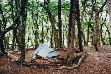 Patagonya ormanda kamp