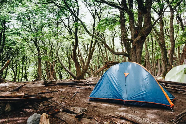 Acampar Floresta — Fotografia de Stock