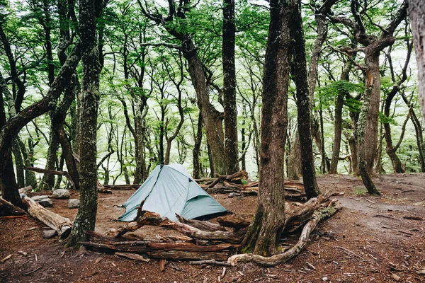 Camping Skogen Patagonia — Stockfoto