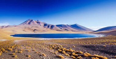 Muhteşem göl Miscanti Şili San Pedro de Atacama yakınındaki Dağlık