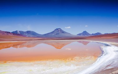 Amazing Lake in the highlands of Chile near San Pedro de Atacama clipart