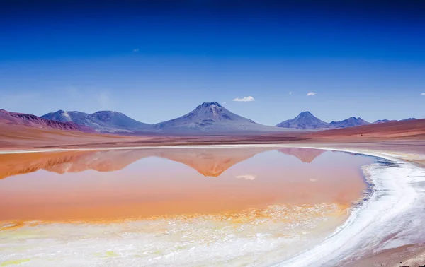 Amazing Lake Highlands Chile San Pedro Atacama — Stock Photo, Image