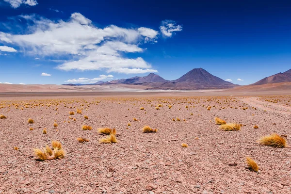 Schöne Szenerie Der Atacamawüste Nordchile Südamerika — Stockfoto