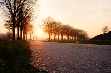Güzel manzara sahne ve gündoğumu veya günbatımı bir asfalt yol üzerinde ağaç siluetleri bir kırsal kesimde tarafından ayar taraflı