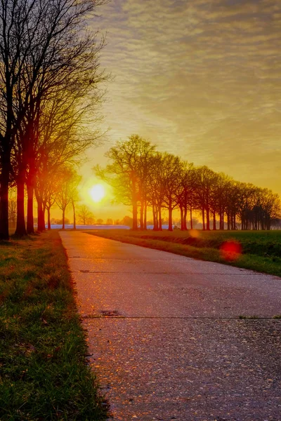 Pintoresca Escena Paisaje Amanecer Atardecer Sobre Camino Asfaltado Por Siluetas —  Fotos de Stock