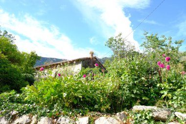 Eski evlerde tipik Fransız dağlar