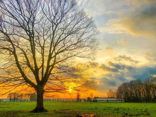 Ciel levant dramatique et coloré — Photo