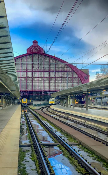 Antwerpia, Belgia-marzec 2019: pociągi przybywających do i z dużej kopuły pięknego, historycznego i monumentalnego dworca kolejowego w Antwerpii, jak widać z zewnętrznej części platformy. — Zdjęcie stockowe
