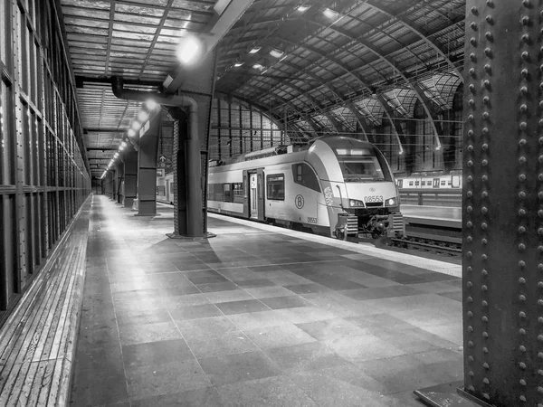 Antwerpen, België-2019 maart: treinen wachten op het platform voor passagiers in het prachtige, historische en monumentale Antwerpen trein station. Afbeelding in zwart-wit. — Stockfoto