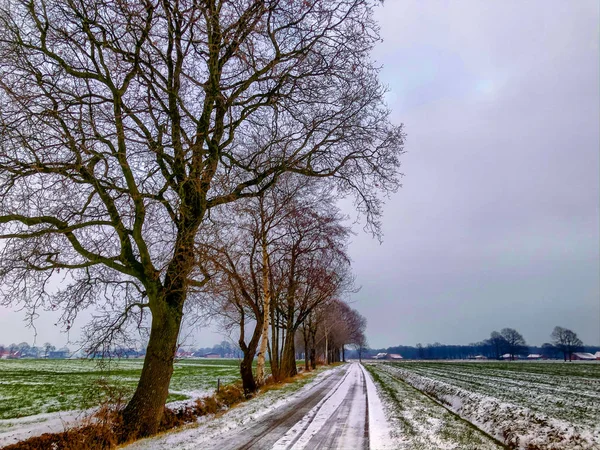 Schneelandschaft — Stockfoto