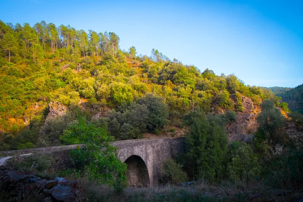 Αγωνιστικά με τον ήλιο — Stock fotografie