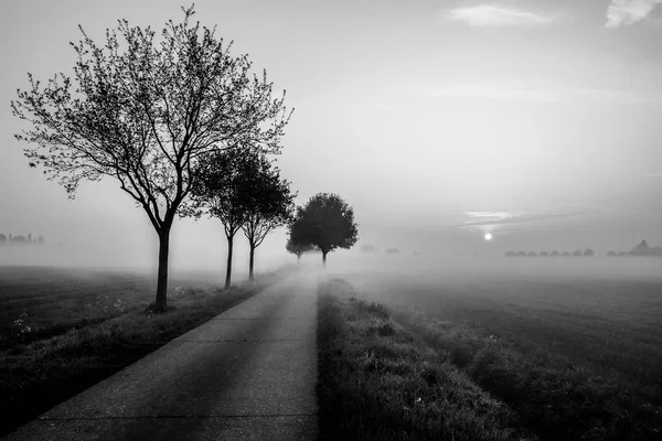 Diminishing view of road in foggy weather — Stock Photo, Image