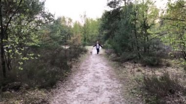 Güzel kız forrest bir köpek ile çalışan