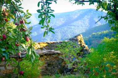 Eski evlerde tipik Fransız dağlar