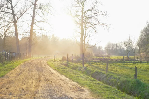 Countryside rural pathway leading toward green forest — Stock Photo, Image